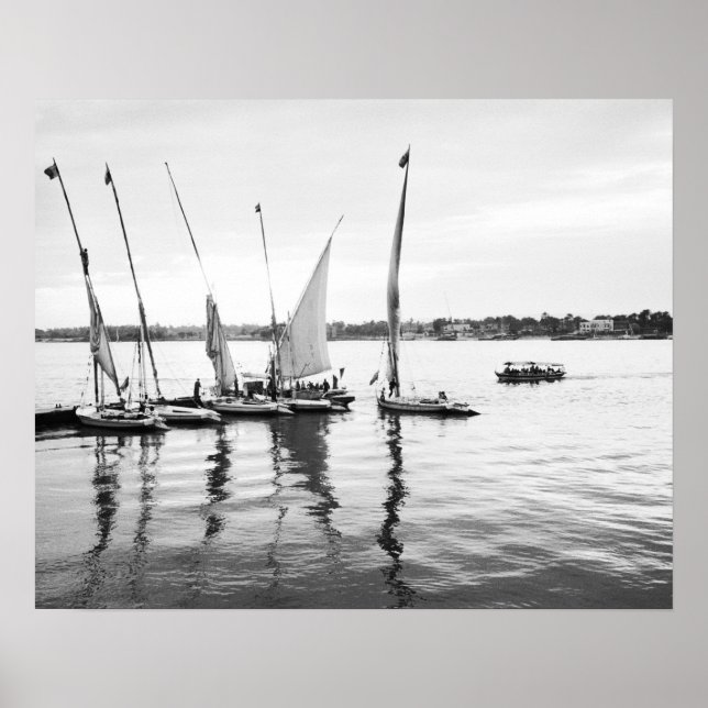 Luxor Egypten, Feluccas på Nilen Poster (Framsidan)