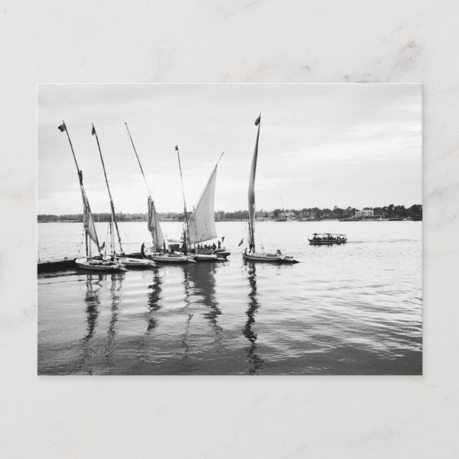 Luxor Egypten, Feluccas på Nilen Vykort (Framsida)