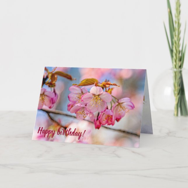 Luxuriga Sakurablommor i Vår Garden Kort (Framsida)