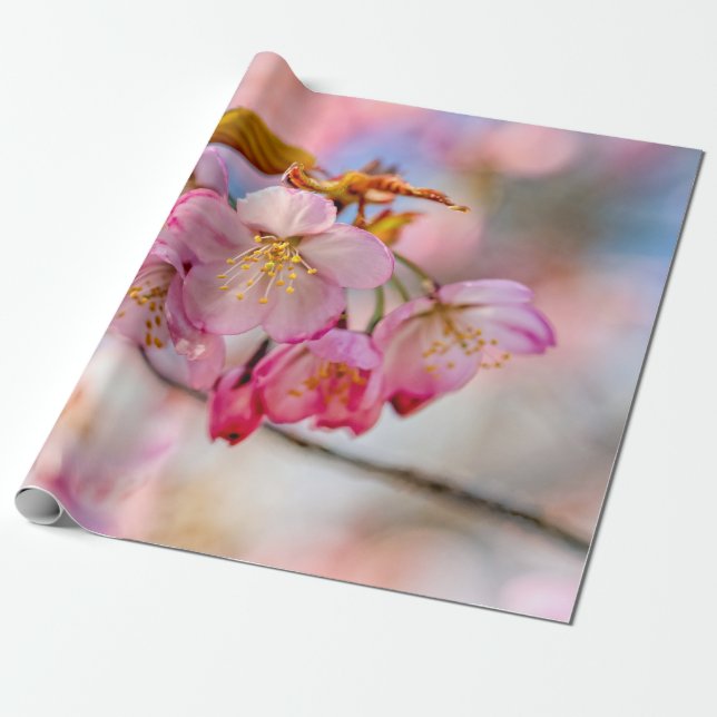 Luxuriga Sakurablommor i Vår Garden Presentpapper (Utrullad)