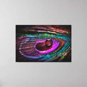 Luxury Wall Art Makro Photography Peacock Feather Canvastryck