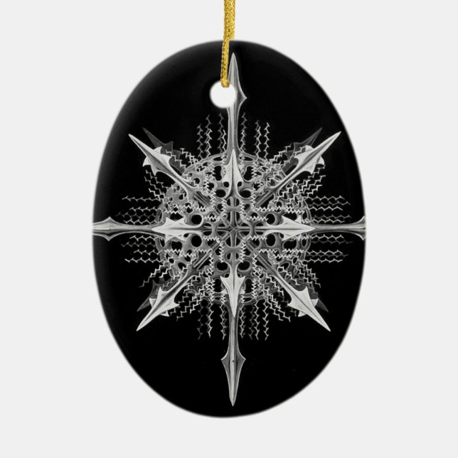 Lychnaspis miranda Ernst Haeckel Fine Art Julgransprydnad Keramik (Framsidan)