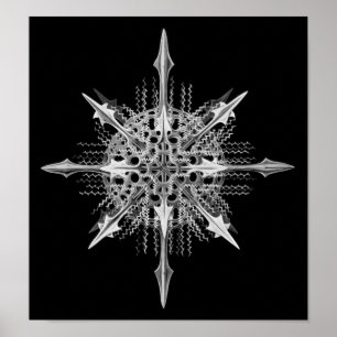 Lychnaspis mirandaErnst Haeckel konst Poster