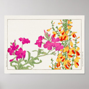 Lychnis coronaria, Cytisus av Tanigami Konan Poster