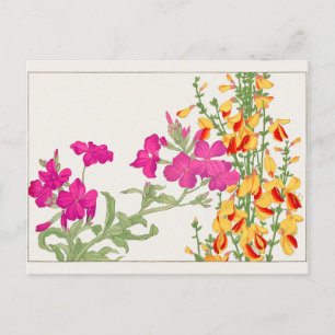 Lychnis coronaria, Cytisus av Tanigami Konan Vykort