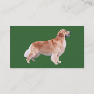 Lycinan Goldens visitkort