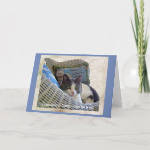 Lycka ägs av ett födelsedagskort för katt kort