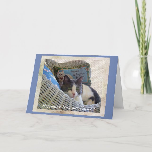 Lycka ägs av ett födelsedagskort för katt kort (Framsida)