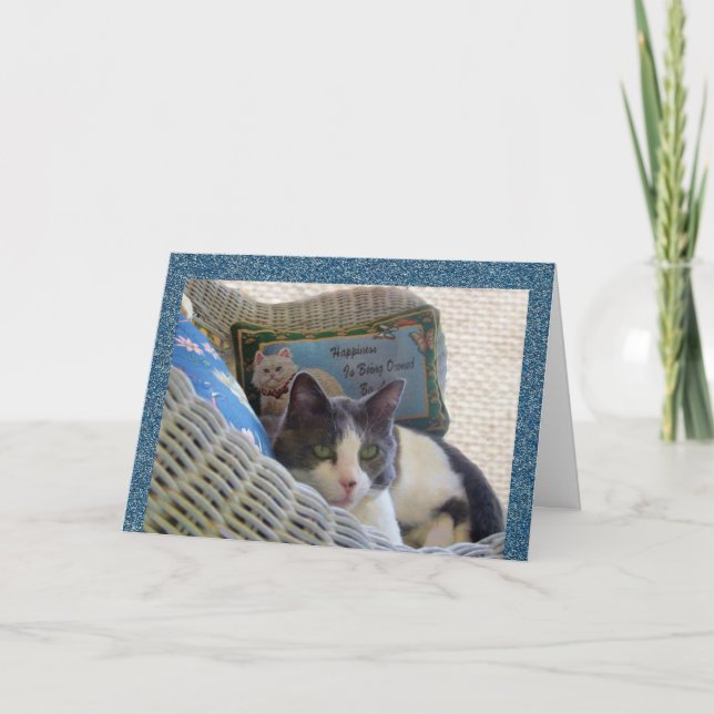 Lycka ägs av ett födelsedagskort för katt kort (Framsida)