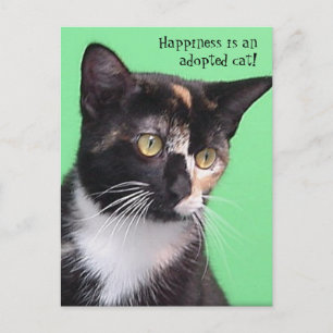 Lycka är en adopterad katt! Vykort