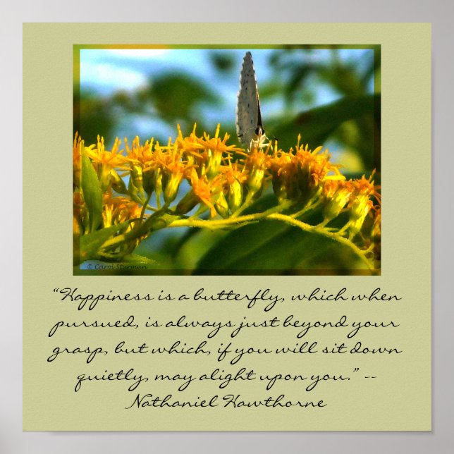 Lycka är en Butterfly-framskriven utskrift Poster (Framsidan)