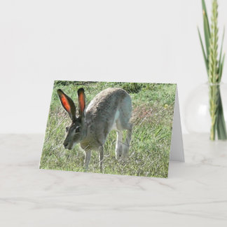 Lycka är en resa kort