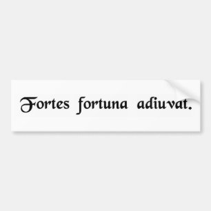 Lycka favoriserar de modiga. bildekal