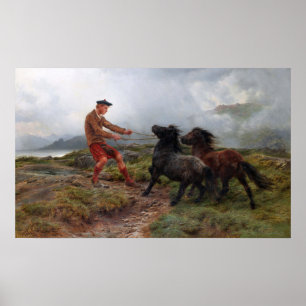 Lycka - Ghillie Shetland Ponnyer I En Dimmig Lands Poster