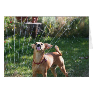 Lycka Hälsningskort