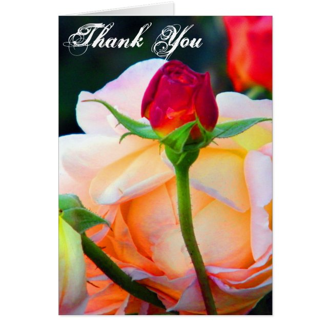 Lycka_ Hälsningskort (Framsidan)