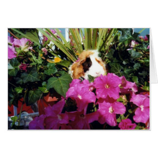 Lycka Hälsningskort