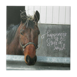 Lycka Horse Kakelplatta