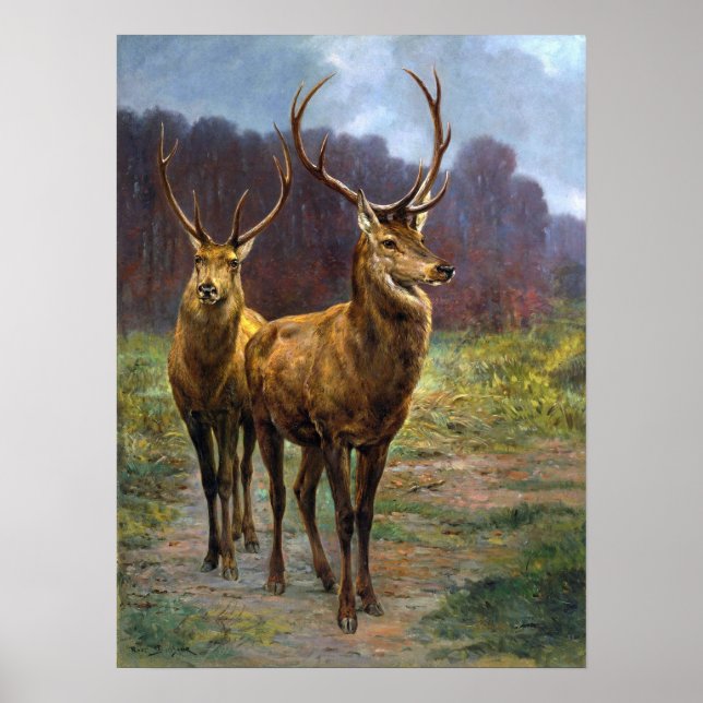 Lycka - Monarker i skogen Poster (Framsidan)