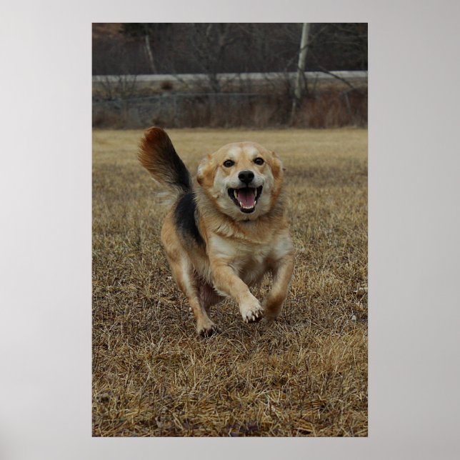 Lycka Poster (Framsidan)