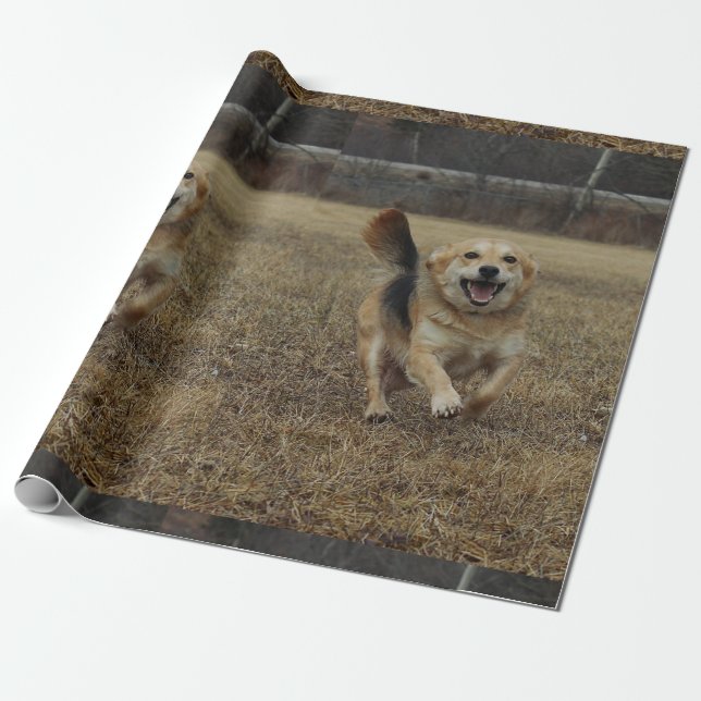 Lycka Presentpapper (Utrullad)