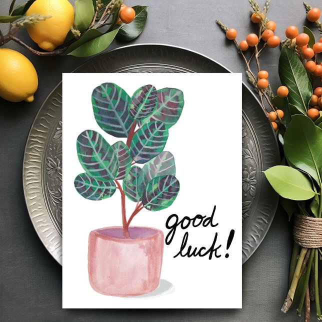 Lycka till Calathea Prayer Plant Watercolor Vykort (Good Luck Calathea Prayer Plant Watercolor Postcard
)