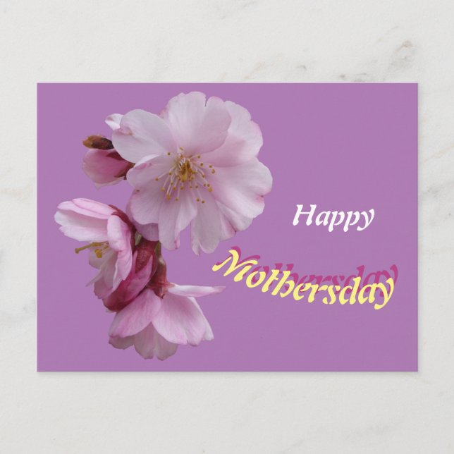 Lycka till födelsedagskort med rosa Prunusblommor Vykort (Framsida)