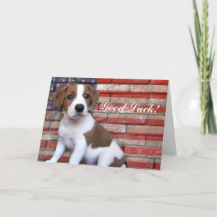Lycka till Jack Russell Terrier-kort Kort