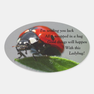 Lycka till Ladybug Oval Stickers Ovalt Klistermärke