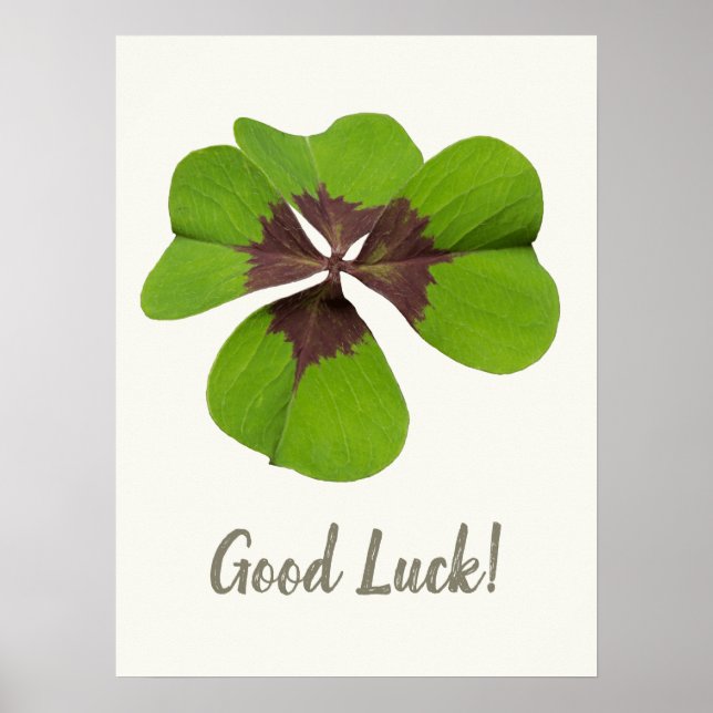 Lycka till Lucky Charm fyralöv klöver Gift Poster (Framsidan)