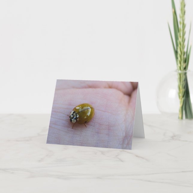 Lycka till Notecards Kort (Framsida)