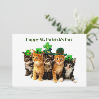 Lycka till St. Patrick's day katter platt gratulat Kort