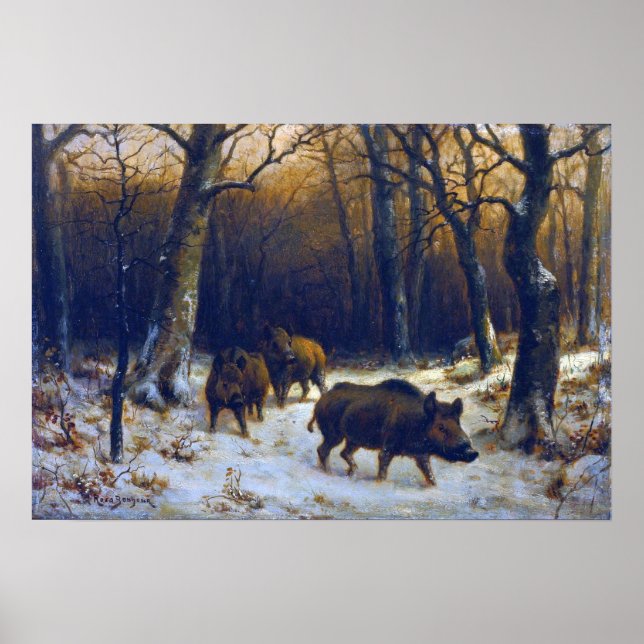 Lycka - Vilda svin i snön Poster (Framsidan)