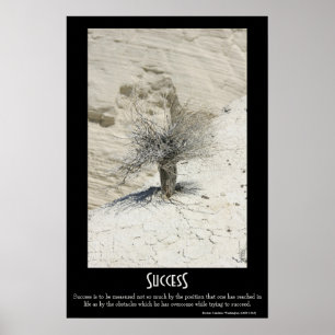 Lyckad Poster