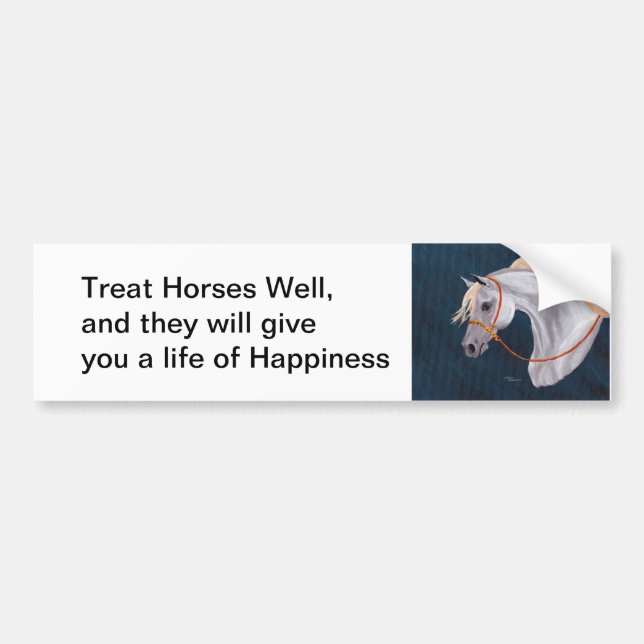 Lyckans hora Bumper Sticker Bildekal (Framsidan)