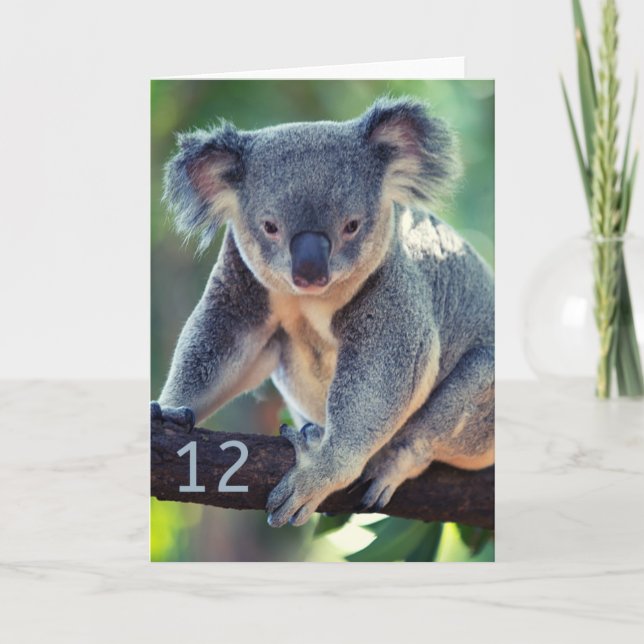 Lycklig 12:e-födelsedagskort Australian Koala-häls Kort (Framsida)
