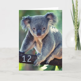 Lycklig 12:e-födelsedagskort Australian Koala-häls Kort