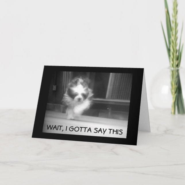 LYCKLIG **13th BIRTHDAY** SAYS COOLA SHEEPDOG Kort (Framsida)