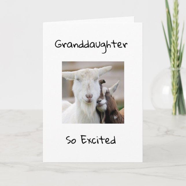 LYCKLIG *16:e BIRTHDAY TILL DIG *GRANDDAUGHTER*-ko Kort (Framsida)
