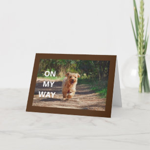 **LYCKLIG 1:a BIRTHDAY’ SPECIELLT BABY-kort Kort