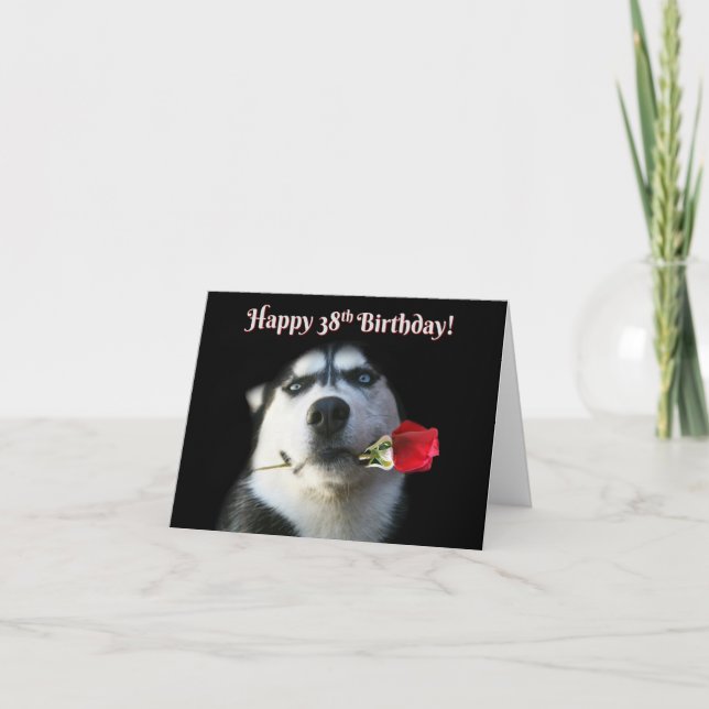 Lycklig 38:e födelsedagen med Cute Husky Hund Kort (Framsida)