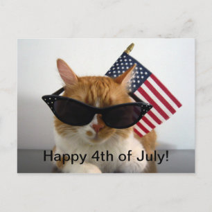 Lycklig 4 juli Coola Katt med Flagga vykort