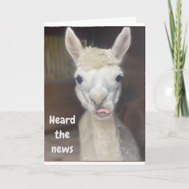 "LYCKLIG 50:e BIRTHDAY" från BREDA EYED LLAMA-kort Kort (Framsida)