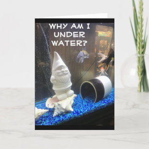 LYCKLIG *50:e* BIRTHDAY FRÅN HUMOROUS GNOME-KORT Kort