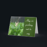 LYCKLIG **60:e** BIRTHDAY ***SISTER*** KORT<br><div class="desc">HA LOVELY ***SISTER*** OCH VEM SOM HAR ETT ****60 BIRTHDAY***** GÅR SEDAN IN PÅ DET OCH SKICKAR ELLER GE DETTA KORT TILL HENNE I DAG! TACK FÖR STOPPNING AV 1 AV MINA 8 LAGRINGAR</div>