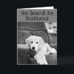 LYCKLIG ***70th*** BIRTHDAY TILL DIG FRÅN UTE-VALP Kort<br><div class="desc">ÄR DET NÅGON I DITT LIV SOM VÄNTAR **70** SEDAN HÄR!!!!! HAN ÄR SÅ "REDO" ATT SÄGA GRATTIS PÅ FÖDELSEDAGEN TILL HONOM ELLER HENNE FÖR SÄKERHET!!!!!  Och med "HUMOR" OCKSÅ!!!!!! TACK FÖR ATT STOPPA AV ETT AV MINA ÅTTA LAGER!!!!!!!!!</div>