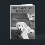 LYCKLIG ***70th*** BIRTHDAY TILL DIG FRÅN UTE-VALP Kort<br><div class="desc">ÄR DET NÅGON I DITT LIV SOM VÄNTAR **70** SEDAN HÄR!!!!! HAN ÄR SÅ "REDO" ATT SÄGA GRATTIS PÅ FÖDELSEDAGEN TILL HONOM ELLER HENNE FÖR SÄKERHET!!!!!  Och med "HUMOR" OCKSÅ!!!!!! TACK FÖR ATT STOPPA AV ETT AV MINA ÅTTA LAGER!!!!!!!!!</div>