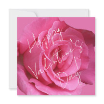 Lycklig Alla hjärtans dag blommigt rosa ros - roma