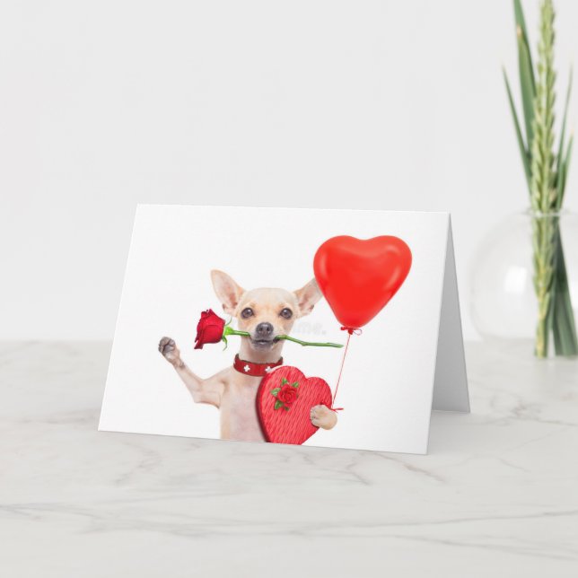 Lycklig Alla Hjärtans Dag Kort Söt Chihuahua Med R (Framsida)