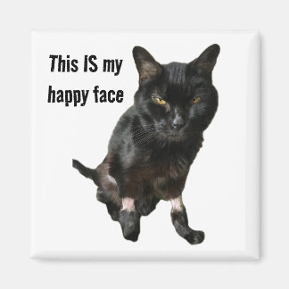 Lycklig Ansikte Magnet